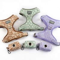 Nouveau style de laisse, harnais et collier pour chien, fournitures pour animaux de compagnie, pour chiens de petite et moyenne taille, harnais pour usage extérieur, vente en gros