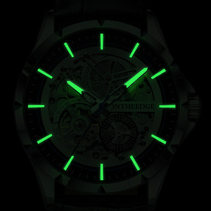 Reloj Mecánico Automático de Alta Gama para Hombre, Esfera Impermeable de 42 mm, Acero Inoxidable, Tourbillon Hueco, Aleación Luminosa, Venta al por Mayor - Product Image 5