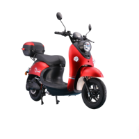Trottinette Électrique de Course EEC COC 60V 20Ah Citycoco avec Batterie 2000W/3000W/4000W, Entrepôt UE, pour Adultes