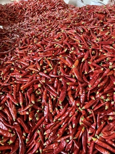 High Quality Dried Red <strong>Chilli</strong> Whole Pods 25kg Bulk From Sichuan China For Food Processing Seasoning - Product Image 1