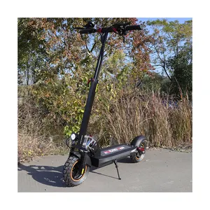 Schlussverkauf 800 W Elektroroller für Erwachsene leistungsstarke 10-Zoll Reifen-Scooter mit Sitz bester Elektroroller Großhandel