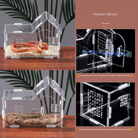 Terrarium moderne en acrylique écologique pour araignées sauteuses, avec services de moulage et de découpe, en forme de maison à double pièce pour reptiles