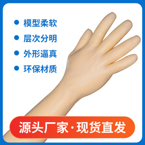 Modelo de brazo para punción intravenosa, modelo de brazo para enseñanza y entrenamiento, modelo de brazo corto para entrenamiento de infusión, especial práctico. - Product Image 3