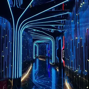 <span class=keywords><strong>Tira</strong></span> de Luces <span class=keywords><strong>LED</strong></span> de Neón Flexible SMD5050 WS2811, Direccionable, Pixel a Color, <span class=keywords><strong>RGB</strong></span>, 5m, Dc24v, 60leds/m - Product Image 4