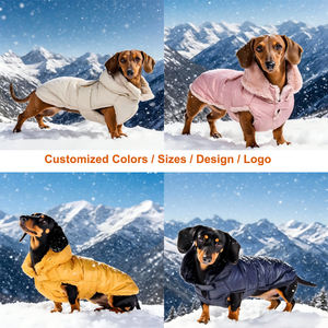 Chaqueta de Lujo de Invierno para <span class=keywords><strong>Perro</strong></span> para Todo Clima Abrigo Acolchado <span class=keywords><strong>Impermeable</strong></span> para Mascota para <span class=keywords><strong>Perro</strong></span> <span class=keywords><strong>Salchicha</strong></span> Teckel Dachshund de Poliéster - Product Image 6