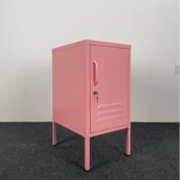 Salon Lowdown Mini casier de rangement armoire de rangement en acier casier porte unique casier armoire en métal maison armoire courte