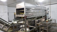 Machine d'extraction d'huile essentielle, pelée de jus citron Orange de haute qualité 1 pièce, pour la fabrication de Production de plantes en ligne