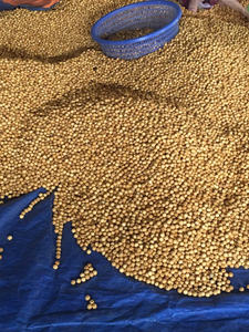 Coussin de siège auto en perles de bois naturelles écologiques, coussin de massage ventilé et rafraîchissant, housse de siège d'été en perles de bois pour bureau et voiture - Product Image 2