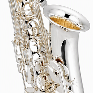 Saxophone alto en Mi bémol, laiton plaqué argent, performance professionnelle en concert, avec <span class=keywords><strong>sac</strong></span> de transport - Product Image 5