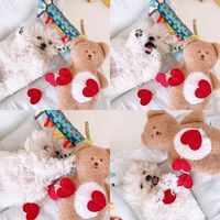 Jouet interactif pour chien en peluche mignon en forme d'ours, avec couineur, pour soulager l'anxiété des chiots, avec compartiment caché pour nourriture
