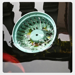 ฝาครอบกรองน้ำสำหรับบ่อ<span class=keywords><strong>ปลา</strong></span>คาร์<span class=keywords><strong>ฟ</strong></span>ลอยน้ำ อุปกรณ์เสริมสำหรับทำความสะอาดตู้<span class=keywords><strong>ปลา</strong></span>และ<span class=keywords><strong>บ่อ</strong></span> - Product Image 4