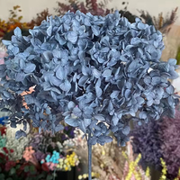 Tiges d'hortensia préservées Anna White, toucher réel, fleurs DIY 60-70cm pour diverses occasions