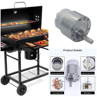 Motor de engranajes rectos FT-37RGM500 de baja velocidad y alto torque para parrilla eléctrica de barbacoa