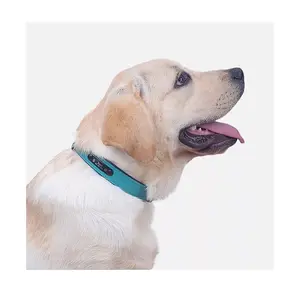 Commercio all'ingrosso collare per cani in pelle di cuoio Super fibra regolabile Anti-perdita etichetta per cani produttore di incisioni personalizzate