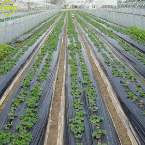 Pellicola di pacciamatura cipolla più venduta per la copertura - Product Image 6