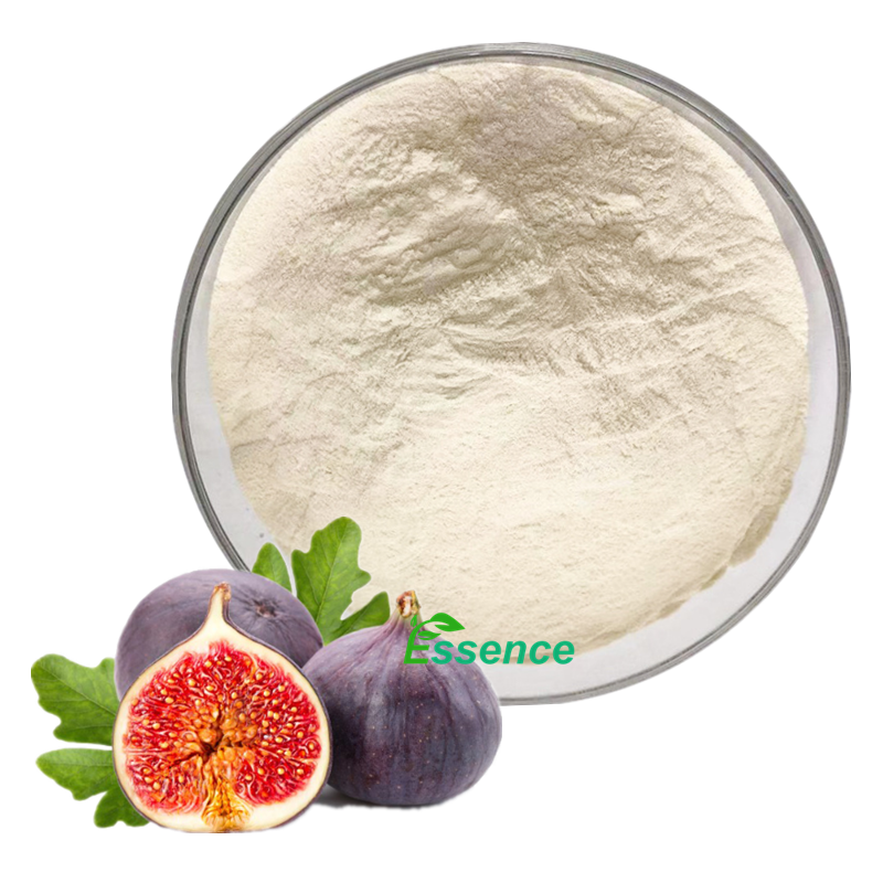 Essence Supply Dry Fig Fruit Extract Powder 4:1 10:1 Ficus Carica Fruit Extract
