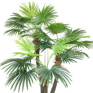 Palmera de abanico gigante artificial de 3 <span class=keywords><strong>troncos</strong></span> de 280cm de altura para decoración de paisaje - Product Image 2