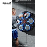 Système de sac de frappe mural pour enfants de 3 à 12 ans avec ventouse, batterie 1000 mAh, accessoires de boxe et de fitness