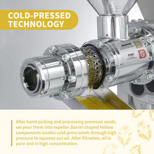 Цветочное масло <span class=keywords><strong>Arnica</strong></span> <span class=keywords><strong>Montana</strong></span> для волос, <span class=keywords><strong>100</strong></span>% для массажа кожи, чистый натуральный травяной экстракт, масло для ароматерапии, масло-носитель | 500 мл - Product Image 3