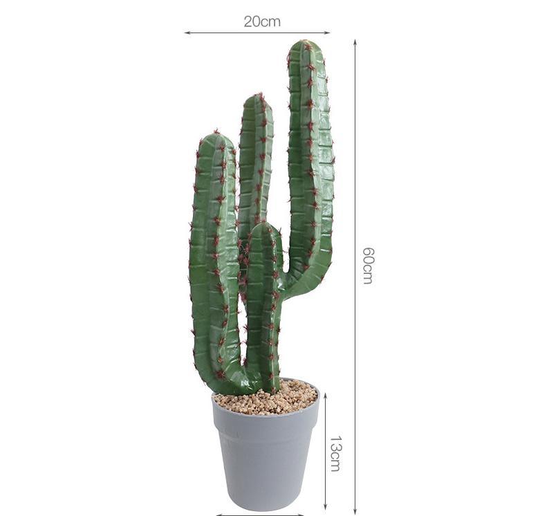 Cactus de velours rouge A