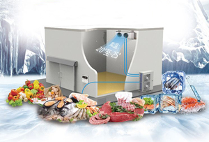 ห้องเย็น ห้องเก็บความเย็น เอ็มบลิกา ส้มเขียวหวาน ส้มโอ ส้มโอเขียว ส้มมะกรูด ส้มแมนดาริน ส้มบาบา ส้มวอ ส้มซิตรอน - Product Image 2