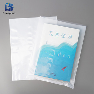 Chenghua Industry Flat Pocket PE Plastic Packaging Bag Custom Sizes Single-Sided Transparent Food Storage Bags - Product Image 3