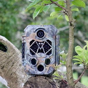 Caméra de chasse 4K SD, caméra de surveillance de la <span class=keywords><strong>faune</strong></span>, vision nocturne 940nm sans éclairs, 20m, déclenchement rapide 0,2s, étanche IP66, caméra extérieure <span class=keywords><strong>pour</strong></span> la <span class=keywords><strong>faune</strong></span> - Product Image 1