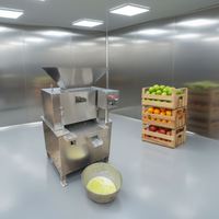 Automatische hoogproductieve industriële fruitpers van roestvrij staal met motor en aandrijving voor citrusvruchten en ananas