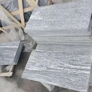 Argento naturale di granito grigio con il bianco vena