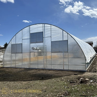 Serre tunnel économique à simple travée en film plastique pour jardin et petite exploitation agricole