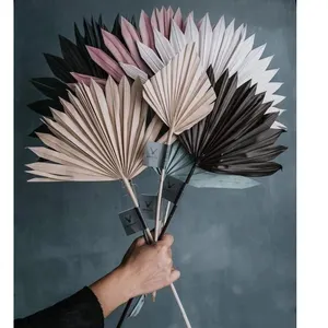 Wholesale Natural Processed Dried Floral Palm Leaves Dry Fan Sun Spade Bleached Palm Leaves For Wedding Flower Decoration palm