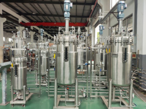 Биореакторный ферментер из нержавеющей стали для микробной культуры Lab1st 100 л 200 л - Product Image 2