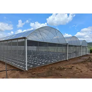 Commercial planting of vegetables and tomatoes in outdoor steel frame Agricultural Greenhouses For Vegetables Growing