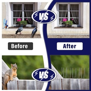 Púas Antipájaros al por Mayor, de Acero Inoxidable, Duraderas, Resistentes al Óxido, Fáciles de Instalar, Púas Repelentes de Aves de 25cm, 33cm, 50cm - Product Image 6