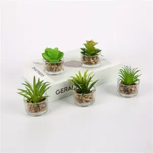 Outdoor Fake Succulents: Realistic & Weatherproof