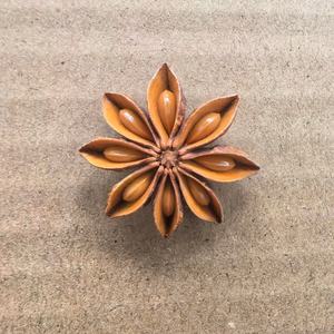 Anís estrellado chino en polvo, mezcla de especias crudas y secas para medicina herbal, condimento con <span class=keywords><strong>cardamomo</strong></span> y albahaca para salsas picantes - Product Image 6