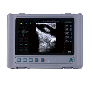 Appareil d'échographie vétérinaire DMSU31 de haute qualité et très vendu, avec écran tactile de 8 pouces, pour usage vétérinaire, à vendre - Product Image 1