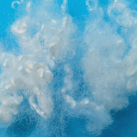Fibre de silicone HCS creuse et conjuguée 3D 7D 15D à haute capacité de remplissage pour le rembourrage