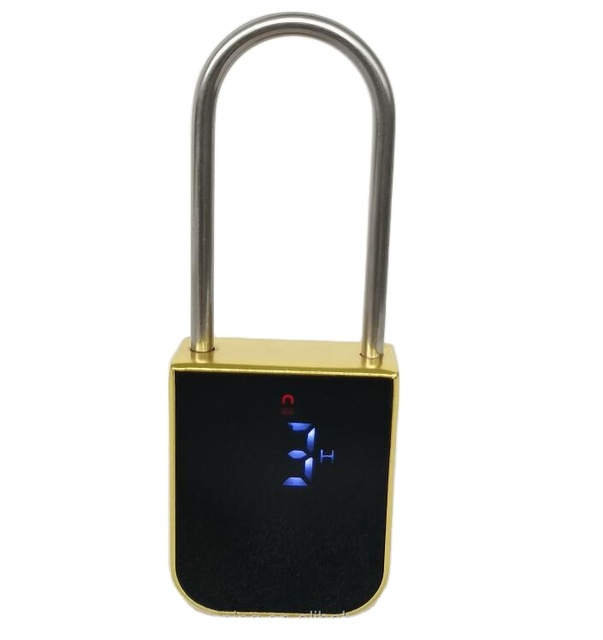 Electronic Sex Toy SM Bondage Lock with Metal Time Lock Sex Lock Made in Stainless Steel and Zinc Alloy Game Padlock