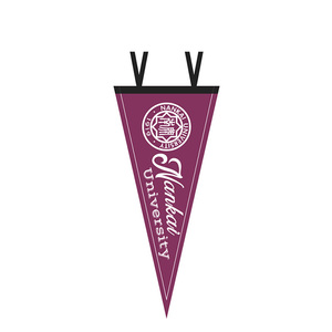 Tùy chỉnh in biểu ngữ ngoài trời kỹ thuật số in ấn kỹ thuật treo <span class=keywords><strong>Bunting</strong></span> cờ Câu lạc bộ thể thao trang trí tam giác cảm thấy <span class=keywords><strong>pennant</strong></span> - Product Image 2