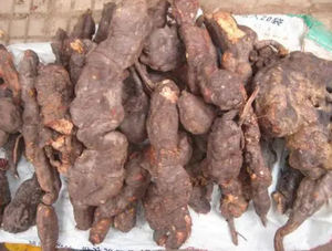 Cabelo e Pele Healtgh Bulk Polygonum Multiflorum Root Extract Extrato Fo Ti Extrato <span class=keywords><strong>Ho</strong></span> <span class=keywords><strong>Shou</strong></span> <span class=keywords><strong>Wu</strong></span> Extrato Em Pó - Product Image 3