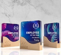 Trofeo de Cristal Personalizado de Alta Gama para Reuniones Anuales, Premio para Empleados Destacados