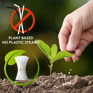 Pailles à boire compostables en PLA, jetables, biodégradables, écologiques, pour les restaurants et les cafés de bubble tea - Product Image 5