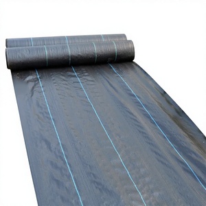 Rollo de 100m de Malla Antihierbas de Plástico para Agricultura, Directo de Fábrica <span class=keywords><strong>CHAQ</strong></span>, Cubierta para el Suelo, Corte de 70-120g - Product Image 2