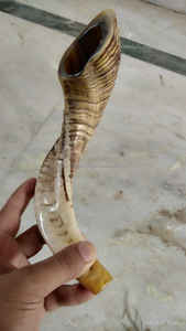 Corne de Shofar polie Symbole juif de style religieux et animal écologique - Product Image 2