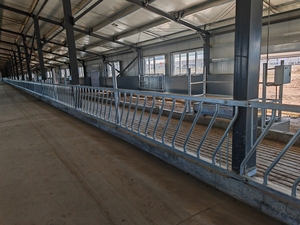 Attrezzatura per la gestione del allevamento bovino Dongchen: Bloccacollo per bovini e Bloccacapo per bovini, modello Bull Slash Pillory, zincato e durevole - Product Image 5