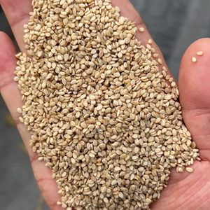 Semillas <span class=keywords><strong>de</strong></span> Sésamo Amarillo Secas 100% Naturales, Grado Superior, Rico en Proteínas, Proveedor Mayorista, Calidad Superior, Producto Agrícola Certificado - Product Image 4