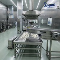 Ligne de production de chips de pommes de terre fraîchement coupées avec chauffage externe au gaz et filtration des impuretés pour la transformation des aliments surgelés