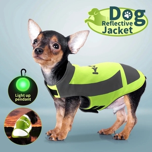 AFP Personalizado Serie K-Nite <span class=keywords><strong>Collar</strong></span>, Correa y Chaqueta <span class=keywords><strong>LED</strong></span> Luminosa para Perro, Pelota Luminosa Intermitente para Perro, Adhesivo, Volador y Juguete Chirriante - Product Image 2