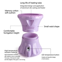 Chaise de vapeur V Spot pour le bien-être féminin, spa de luxe, prise américaine, pour la santé et la beauté